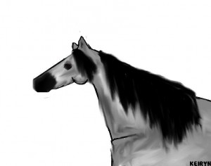 plspodar-sa.jpg